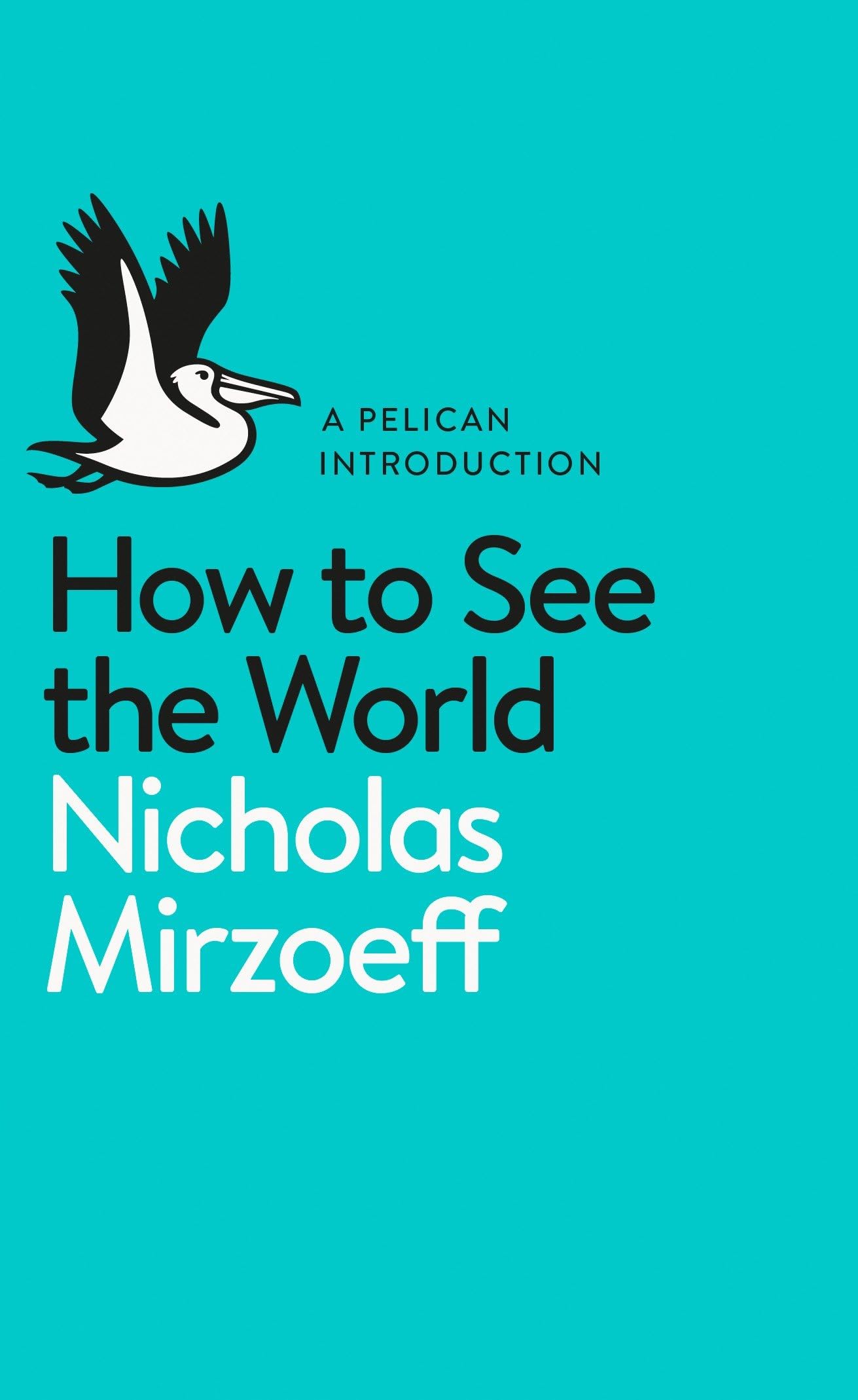 How to See the World by Nicholas Mirzoeff - 9780141977409