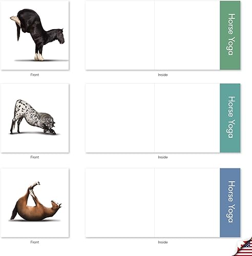 Miniatura 4 de The Best Card Company - 10 tarjetas de notas de yoga en blanco (4 x 5.12 pulgadas) - Tarjetas de notas en caja con sobres, tarjetas de animales