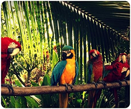 Royal Parrot Wallpaper New Year Mouse Pad - Durable Office Accessory Desktop Laptop MousePad and Gifts For Gaming mouse pads