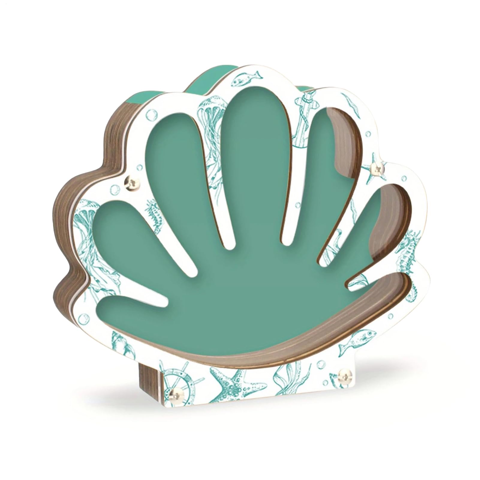 Présentoir coquillage en bois transparent pour protéger vos souvenirs