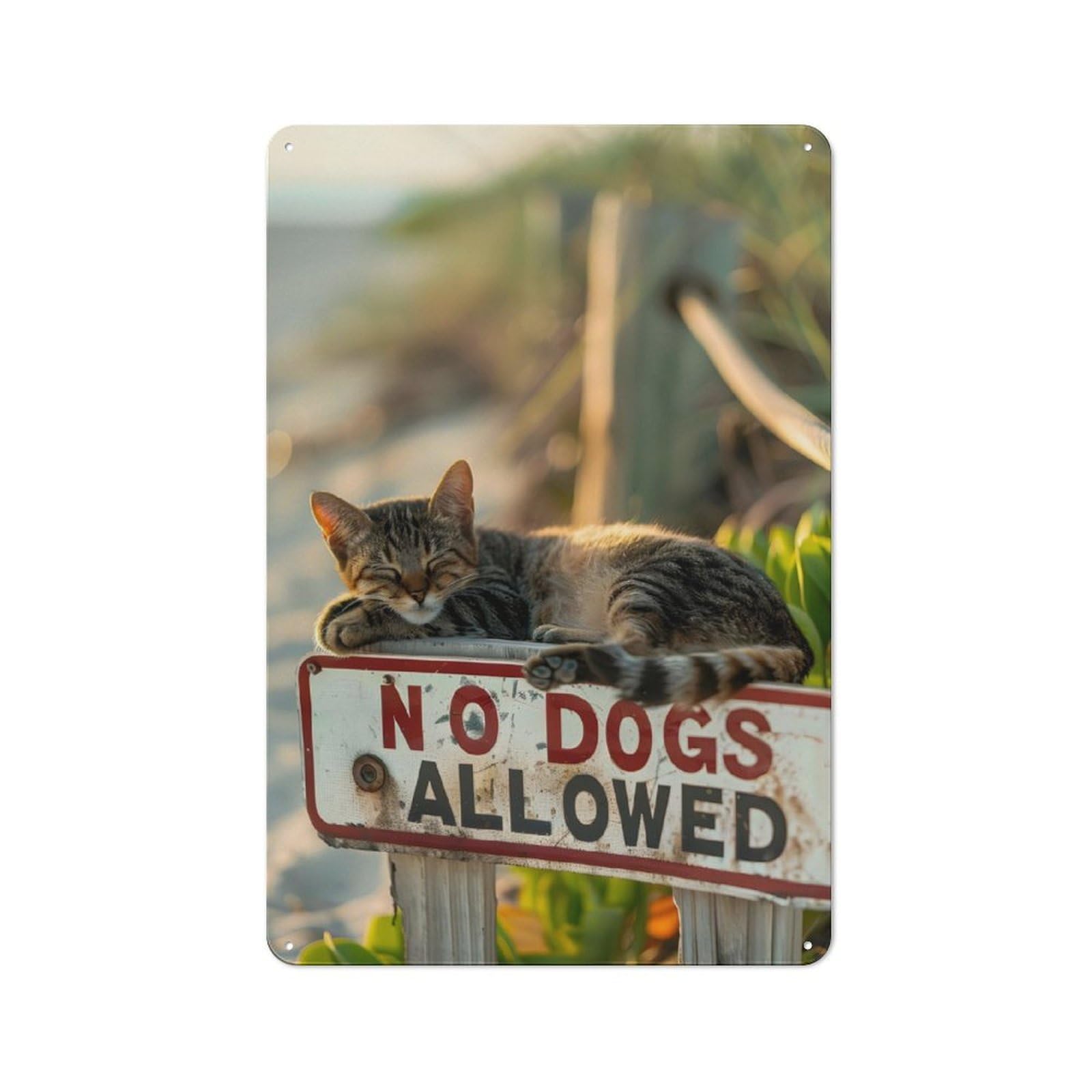 Junmoney No Dogs Allowed Metal Sign 30X20cm With For Hallway Wall, Vintage Decor, For Garage, Workshop And Man Cave Decoration