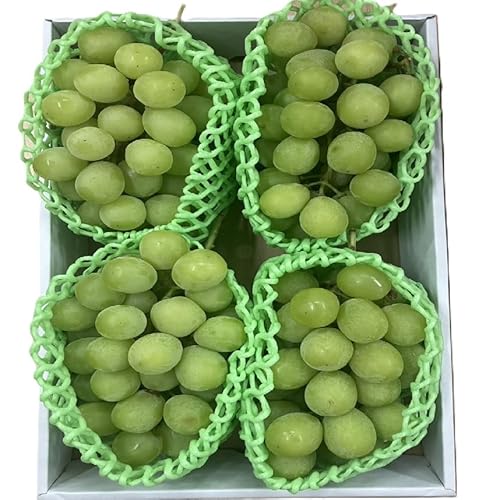 RYE쌧Y Ԃǂ Y N[ (4.VC}XJbg4[ 2kg)