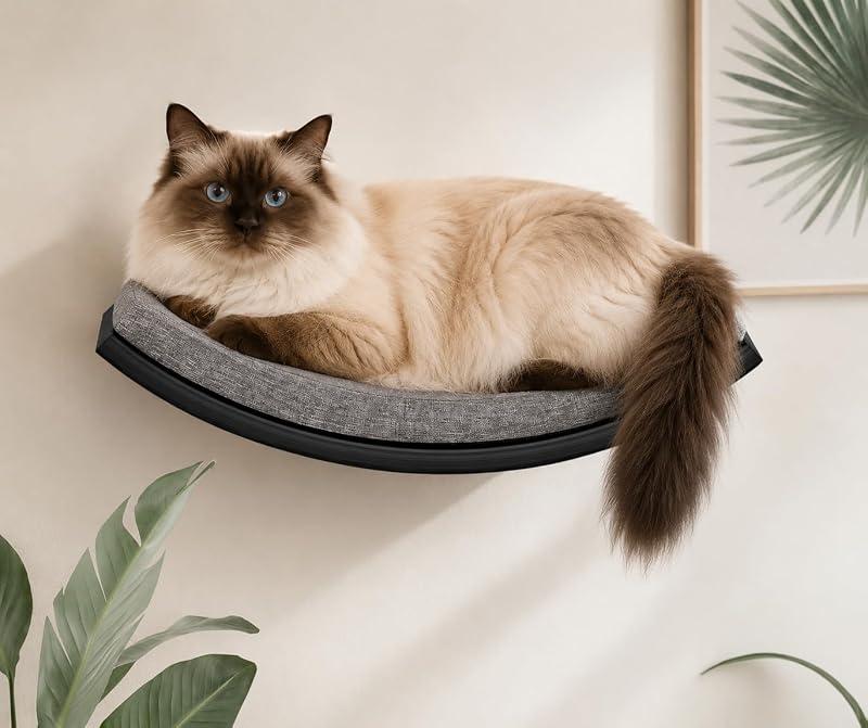 Prateleira Suspensa para Gatos com Design Curvo e Almofada de Espuma Cinza PELUOMOZ