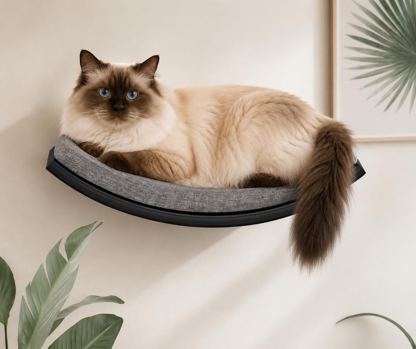 Curved Cat Wall Shelf with Foam Mat, Wall Mounted Cats Sleeper Platform Shelf for Climb Play Nap, Wood Multi-Functional Cat Walls Furniture for Indoor