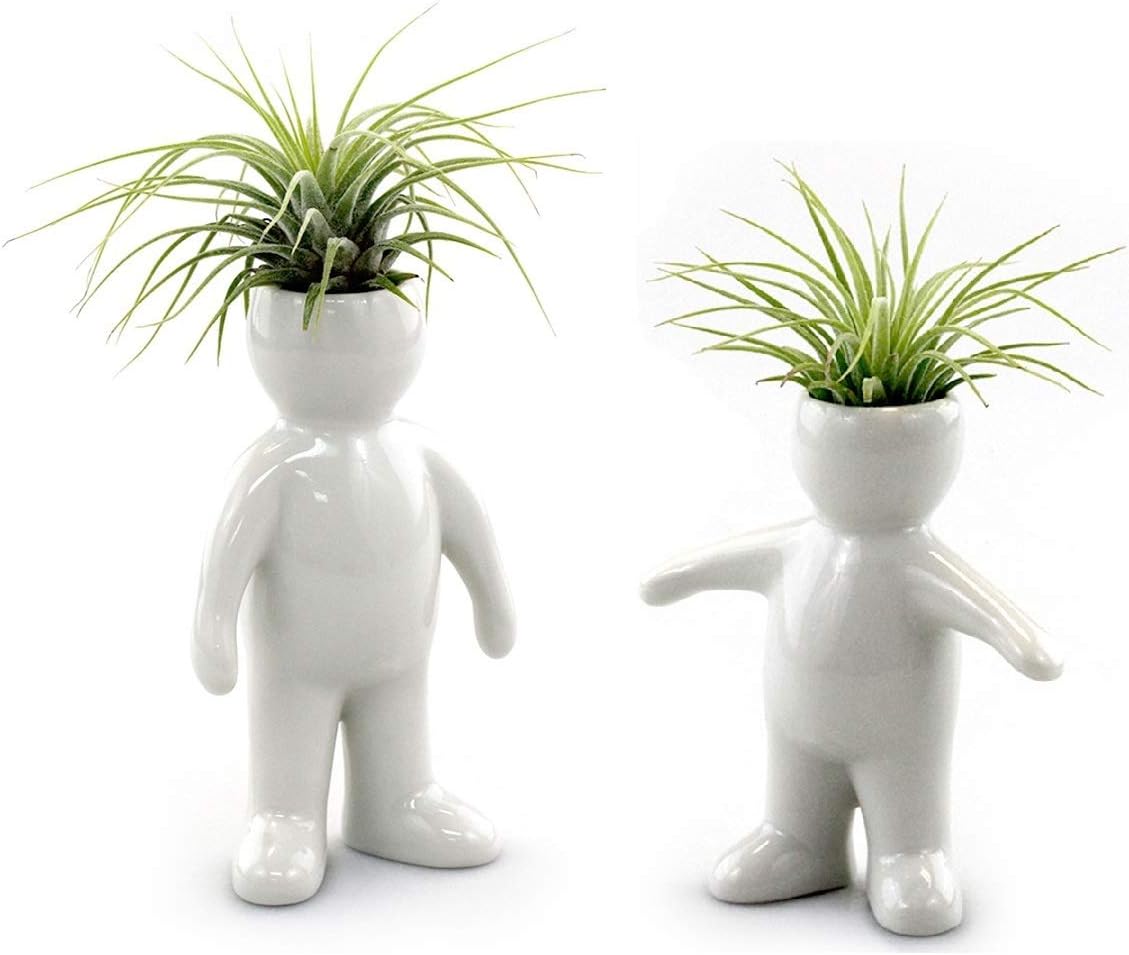 White Ceramic Father and Son Shaped Planters with Live Tillandsia - 4.75" and 3.5" Potted Indoor Plants with People and Pet Shaped Air Plant Holders for Home and Office Decor