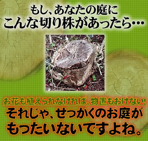 Amazon.co.jp: スタンプ・アウト 2個組 46524 : DIY・工具・ガーデン