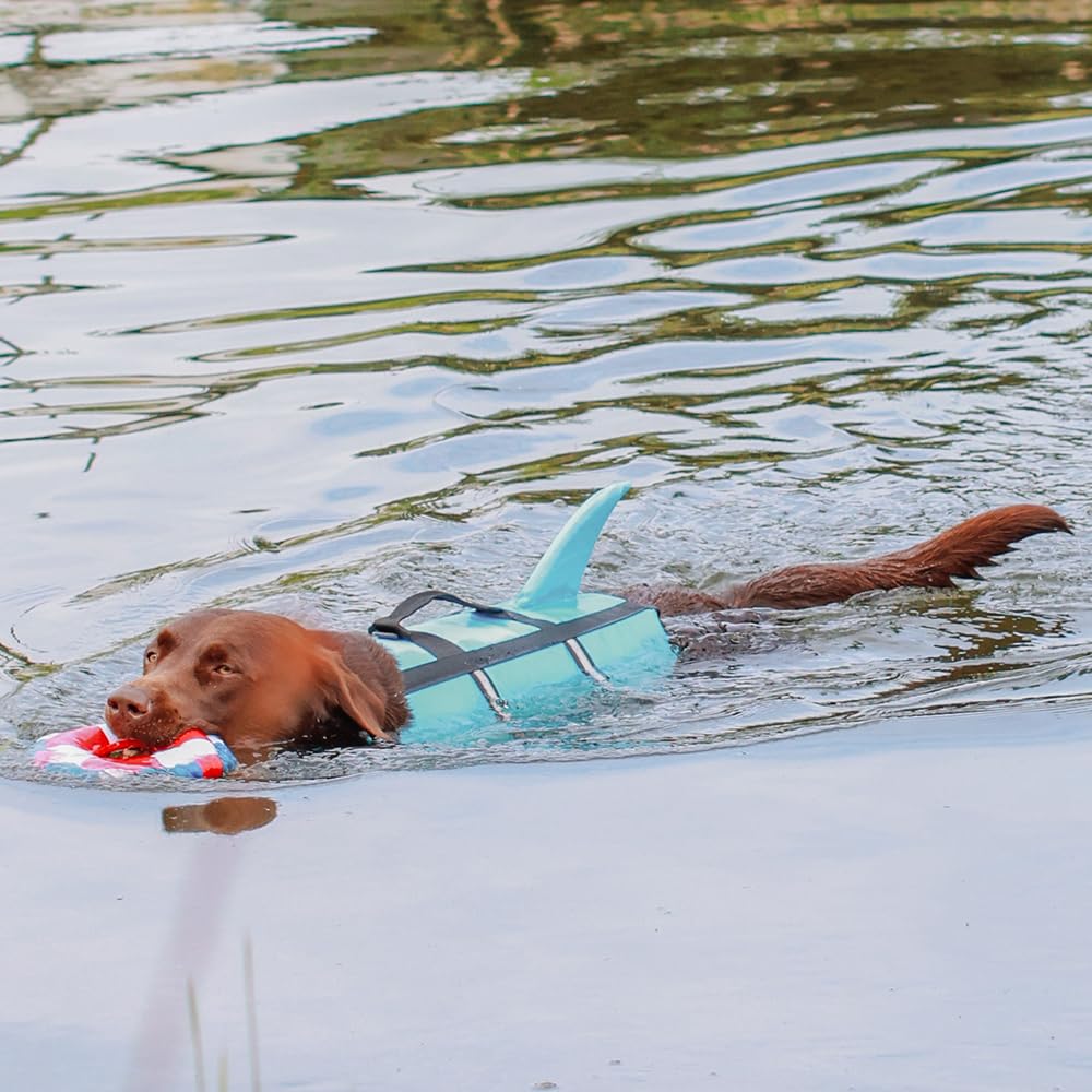 Nobby 61031 Hunde Schwimmhilfe Sharki hellblau Größe: S, 30 cm