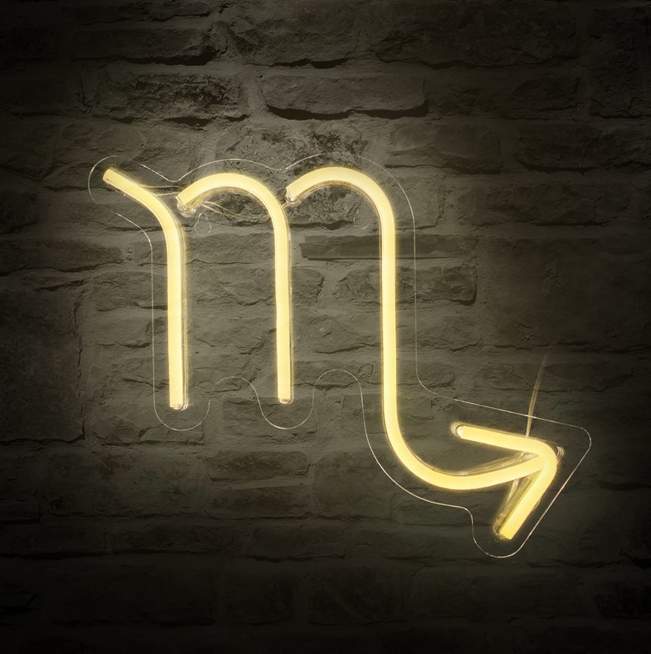 The Zodiac Horoscope Sign - Scorpio Neon Signs for Wall Decor,Constellation  Neon Light Powered by USB, Astrology Birthday Gifts, Warm White ...