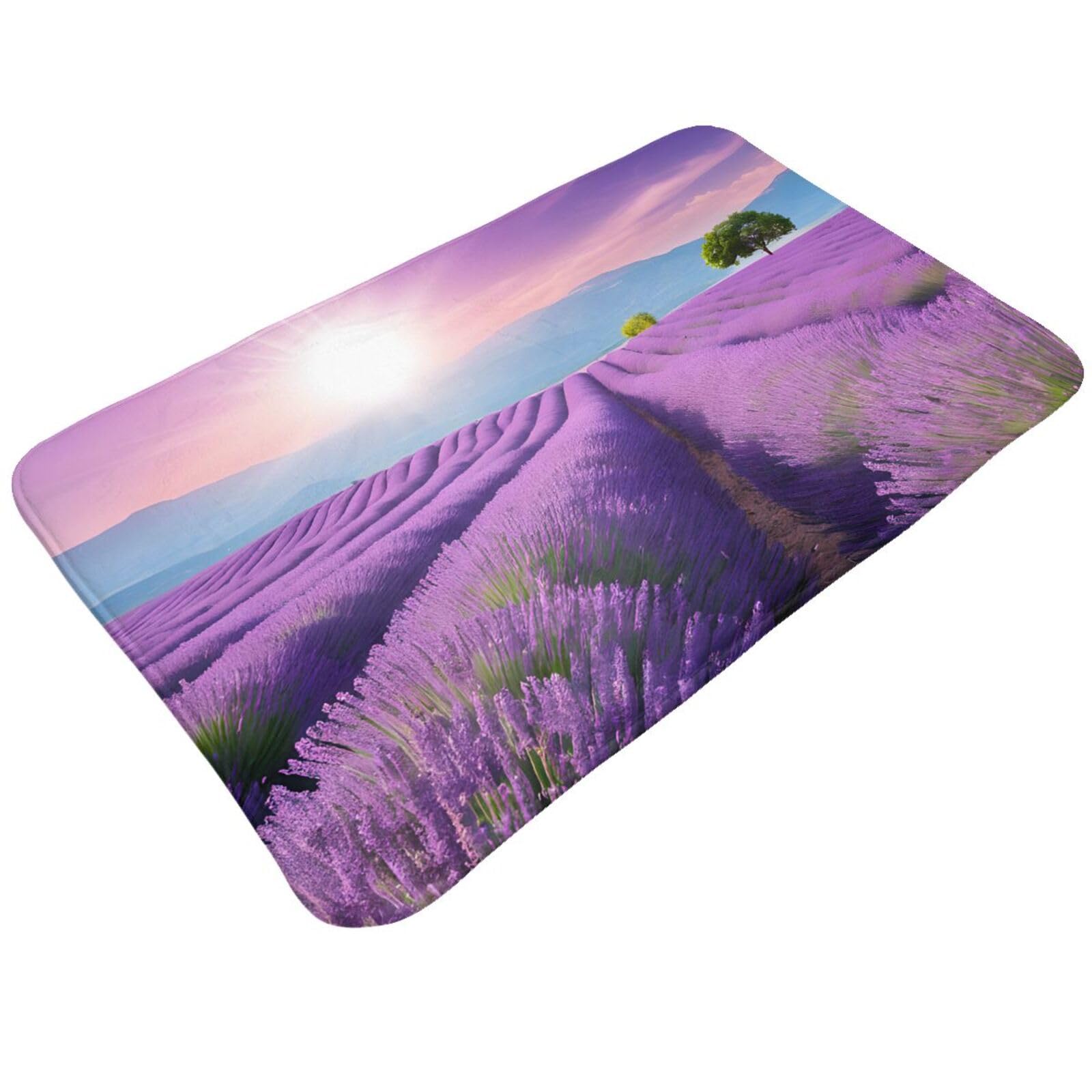 Romantic Purple Lavender Print Living Room Bathroom Kitchen Anti Slip and Absorbent Carpet, Indoor Entrance Door Muddy Floor Mat, Ultra Soft Washable Carpet 21x31.5 Inches