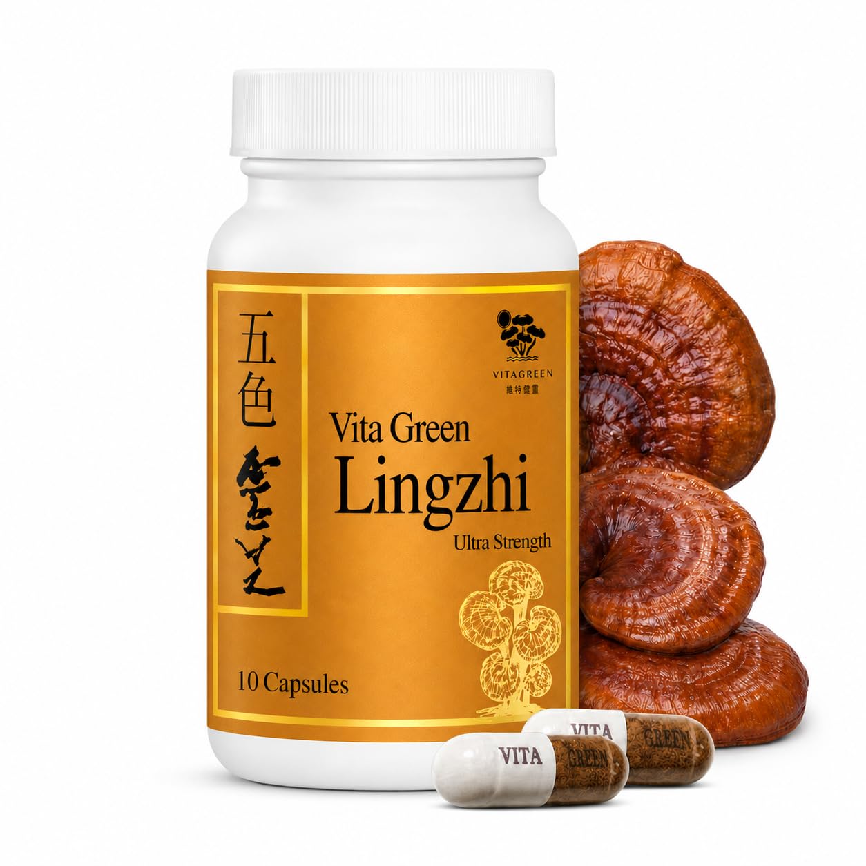 Vita Green Suplemento de Cogumelo Reishi Lingzhi, 10 cápsulas