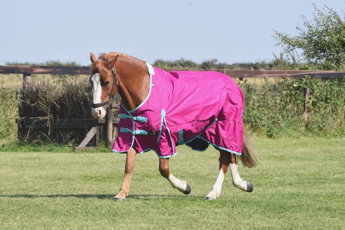 Equestrian King Lightweight No Fill Turnout Horse Rug 600D Standard And Combo Neck Waterproof Raspberry (Standard, 7'0'')