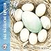 Produktbild Das hässliche Entlein. CD: Klassische Musik und Sprache erzählen