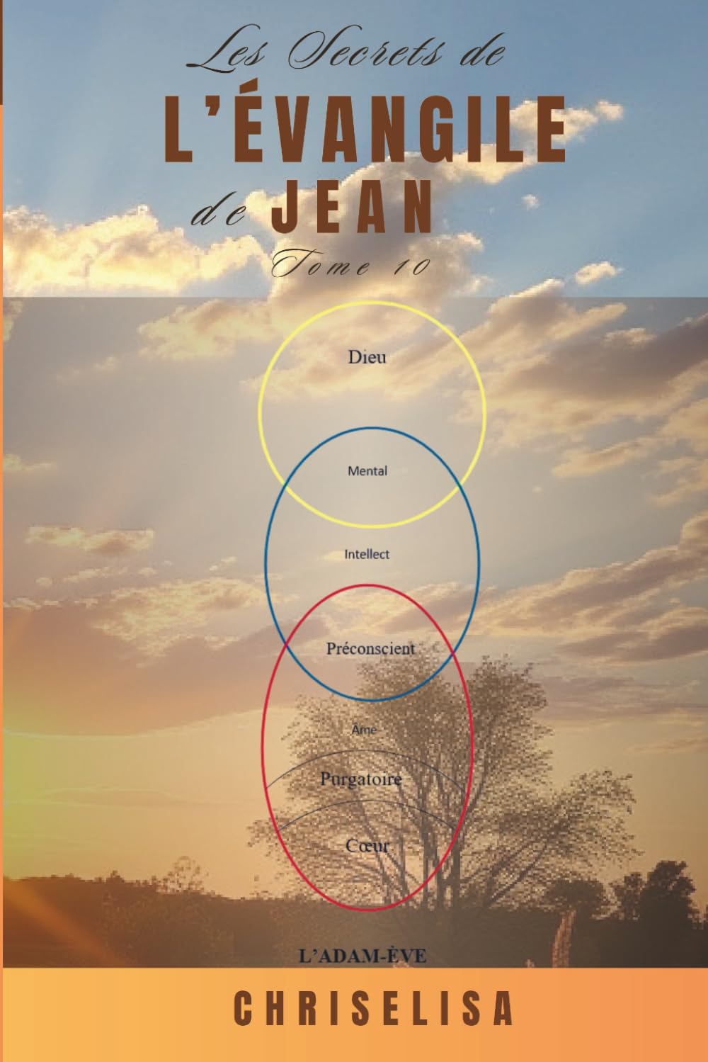 LES SECRETS DE L'ÉVANGILE DE JEAN TOME 10