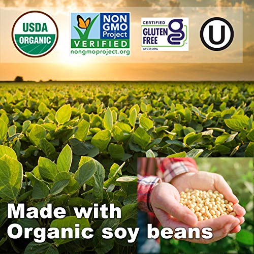 El Burrito, Organic Soyrizo Meatless Soy Chorizo, 12 Oz #TOP4