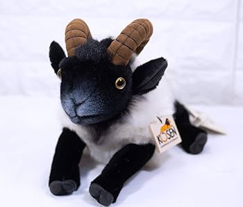 KOSEN ひつじ ぬいぐるみ ケーセン 楽天市場】ケーセン ぬいぐるみ kosen ジャーマングレーヒース