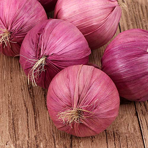 EdricShop Simulation Foam Vegetables Artificial Garlic Fake Onion Hanging Vegetables String Home Decoration Photography Props 10Pcs/String - (Color: Purple)