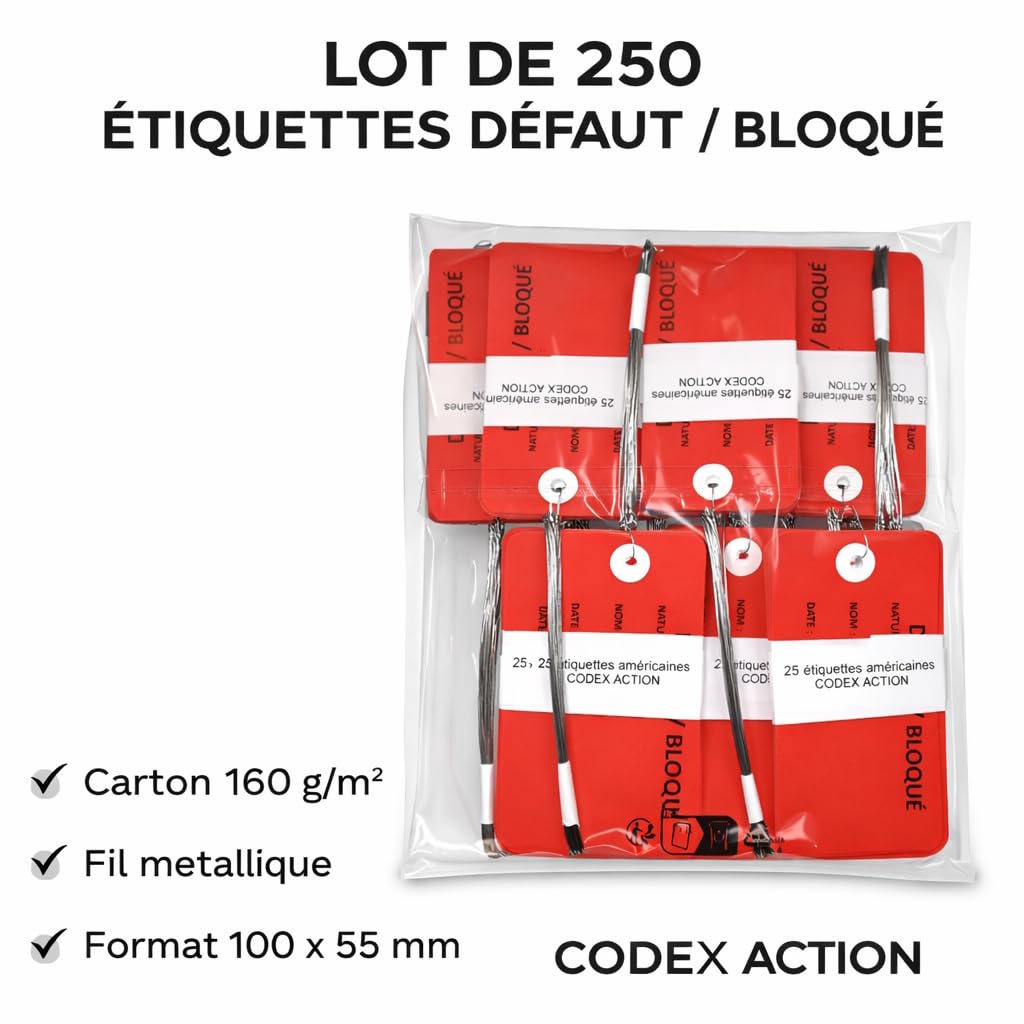 250 etichette americane in cartone con filo metallico – 100 x 55 mm – Etichette di manutenzione, riparazione, controllo qualità e inventario – per officina, industria e logistica