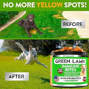 Grass Burn Spot Saver Chews Caused by Dog Pee Lawn- Grass Treatment Rocks – DL-Methionine + Digestive Enzymes – Dog Urine Neutralizer – Soft Treats