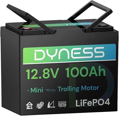 Miniatura 9 de Batería LiFePO4 de 24 V 100 Ah, batería de litio de 25.6 V con potencia de 2560 Wh, BMS integrado de 100 A con protección a baja temperatura,