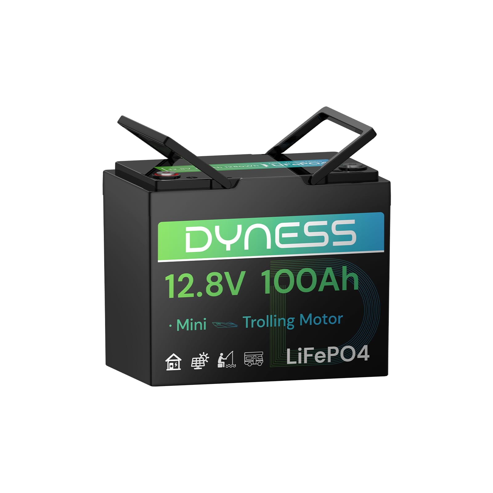 Dyness 12V 100Ah Mini TM Group 24