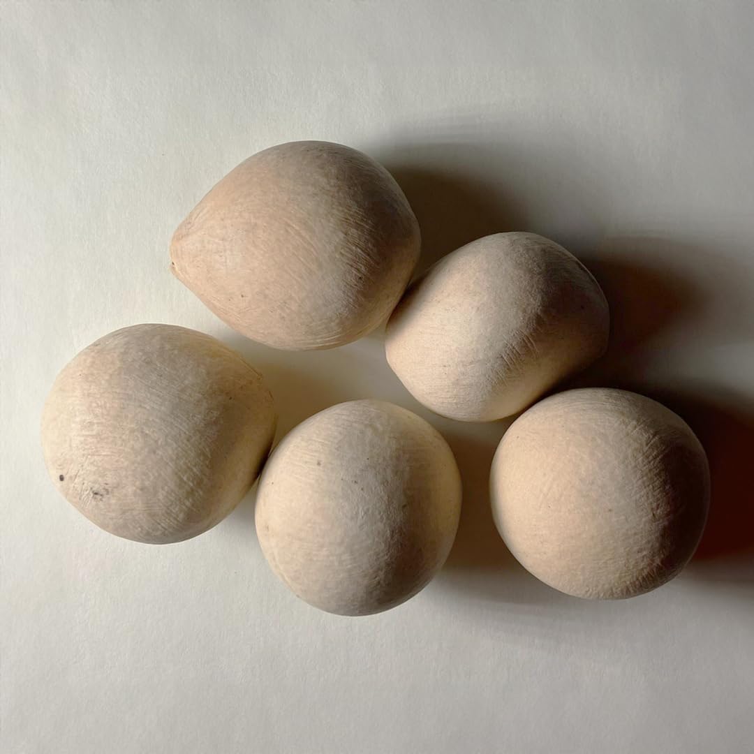 4月入荷 100粒+@ サイカスsᴘシルバー（タイシルバー）植物検疫証明書あり2 2025年最新】サイカス タイシルバーの人気アイテム - メルカリ