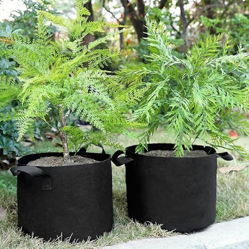 Image of Decor & More ? Grow Bags with Durable Handles & Reinforced Stitching,Thick Non-Woven Fabric | 280 GSM Grow Bag for All Plants, Garden Accessories| Grow Bags 12x10 inch - Pack of 5 ? Black