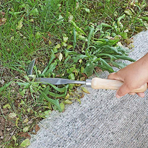 Zelarman Crack Weeder Stainless Steel Crevice Weeding Tool L-Shape Patio Knife Driveway/Sidewalk/Garden Hand Weeder #TOP5