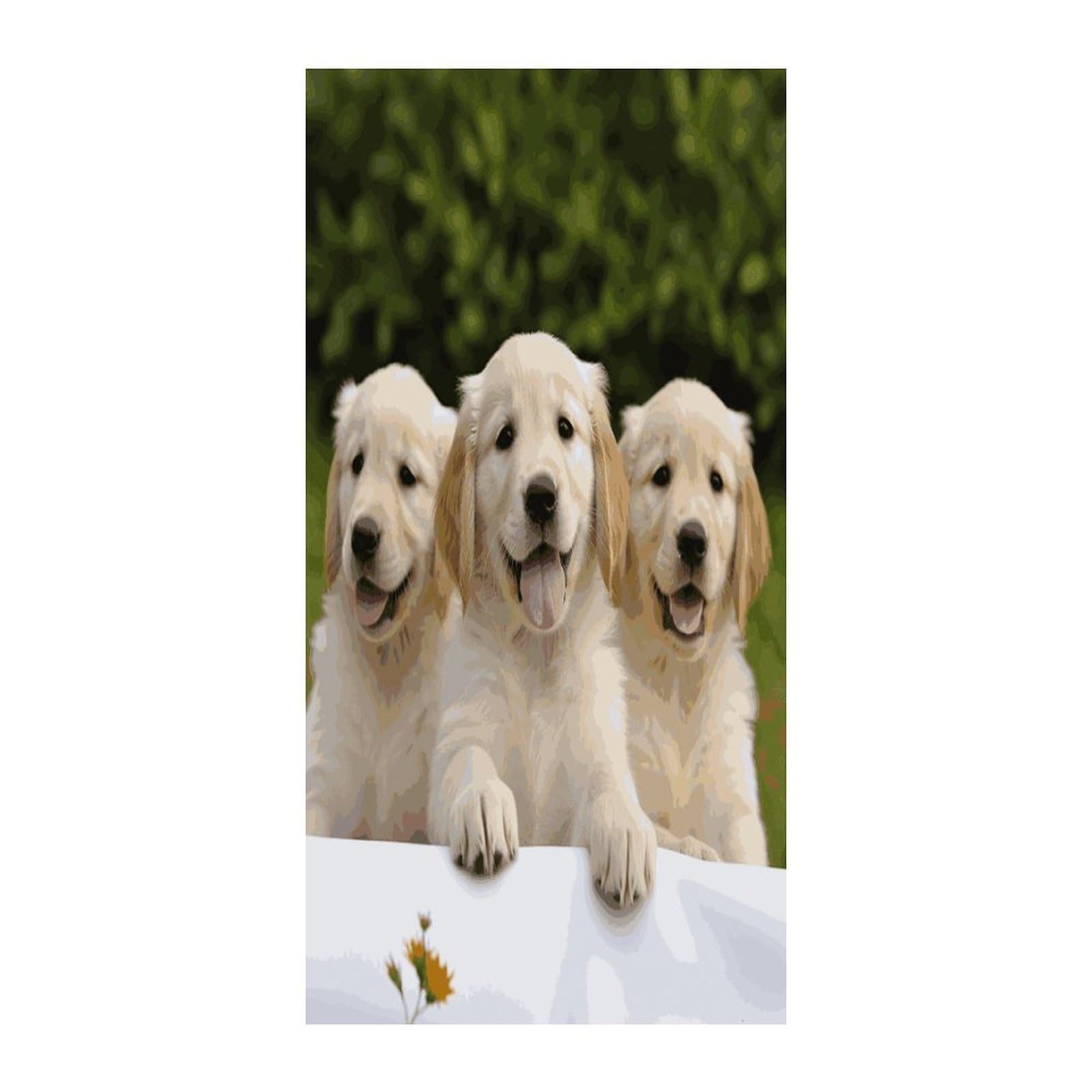 Fekiloot Style Golden Retriever Puppies Door Curtain Room Divider Curtains
