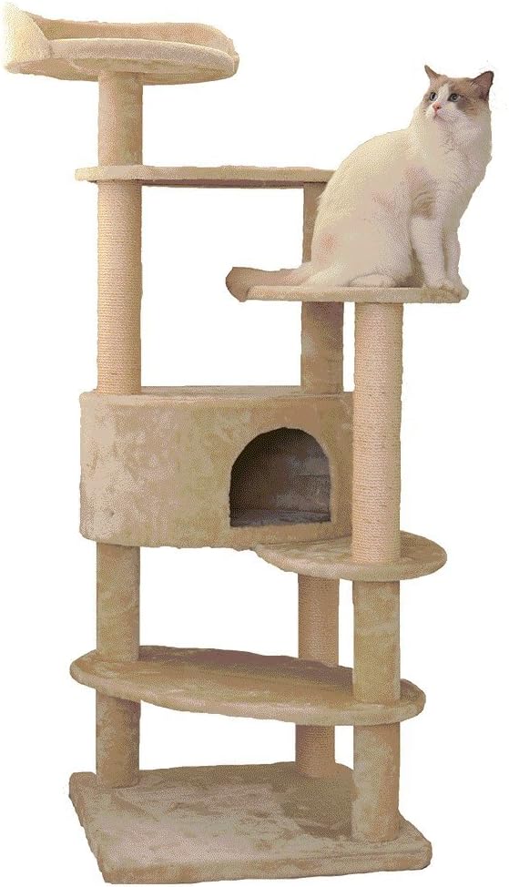 Tower Rich Eggs
