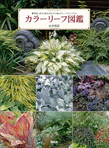 無料電子書籍 おすすめ カラーリーフ図鑑 明度と高さの組み合わせで庭をグレードアップする バイ
