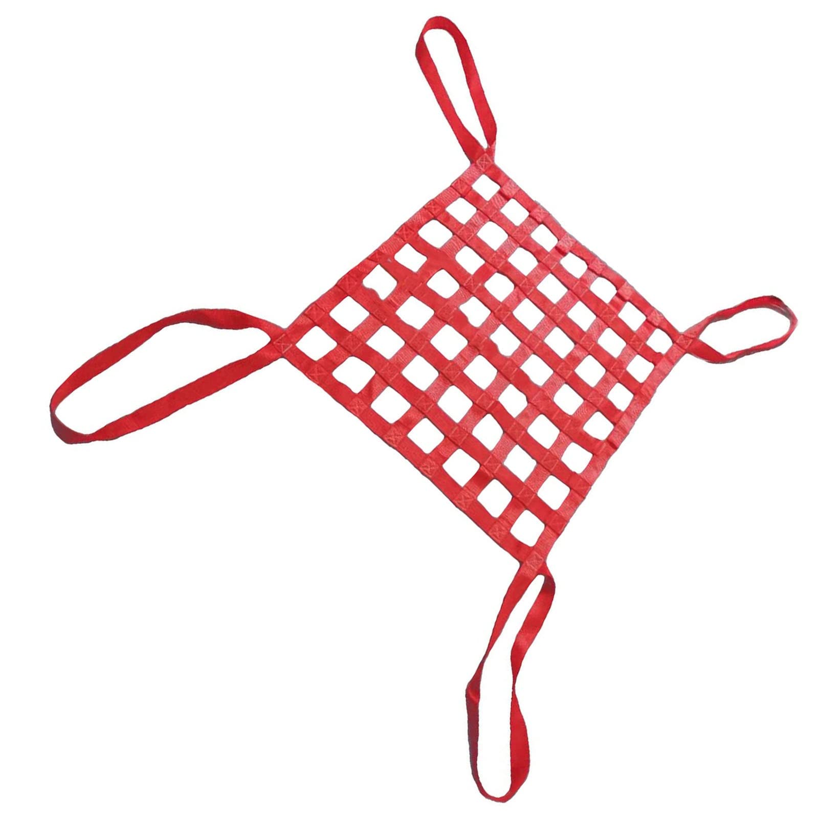 Filet De Levage 1x1m – Capacité 300 Kg, Maille 10 Cm – Pour Charges Lourdes, Usage Atelier, Chantier, Stockage Suspendu