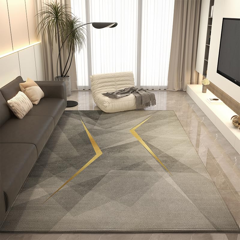 Tapis moderne lavable antidérapant 160x200 cm grand tapis salon abstrait