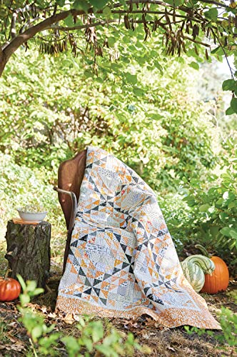 Two-Of-A-Kind Quilts: 12 Scrappy Designs That Are Double the Fun