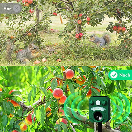 Katzenschreck Marderschreck Solar Ultraschall Tiervertreiber - Wasserdicht IP44, Bewegungsmelder, bis zu 8m Reichweite (13.5-45.5 kHz) - wirksam gegen Marder, Katzen, Hunde, Vögel