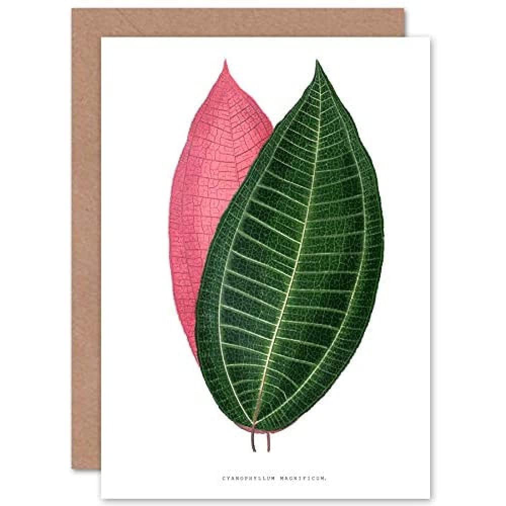 Wee Blue Coo Leaf Cyanophyllum Magnificum Greeting Card With Envelope Inside Premium Quality