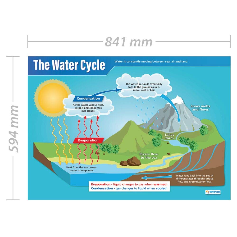 Buy The Water Cycle | Science S | Gloss Paper Easuring 850 X 594 - View #3