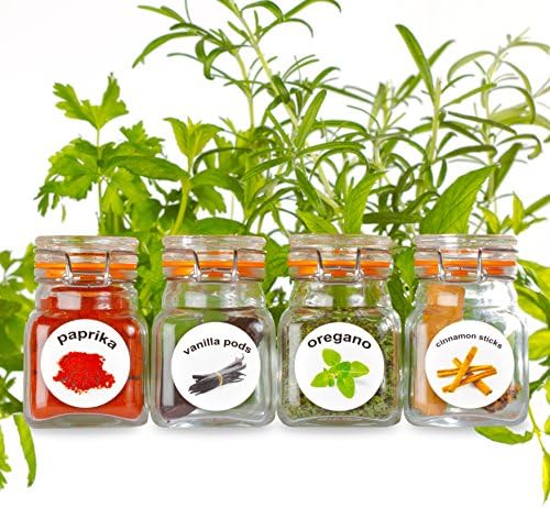 [Apple MFi Certified] Lightning to 3.5 mm Headphone Adapter Dual Ports Dongle Charger Jack&AUX Audio 3.5 mm Earphone Accessory,for iPhone 11/11 Pro/X/8,7 Plus/8 Plug and Play Support All iOS System