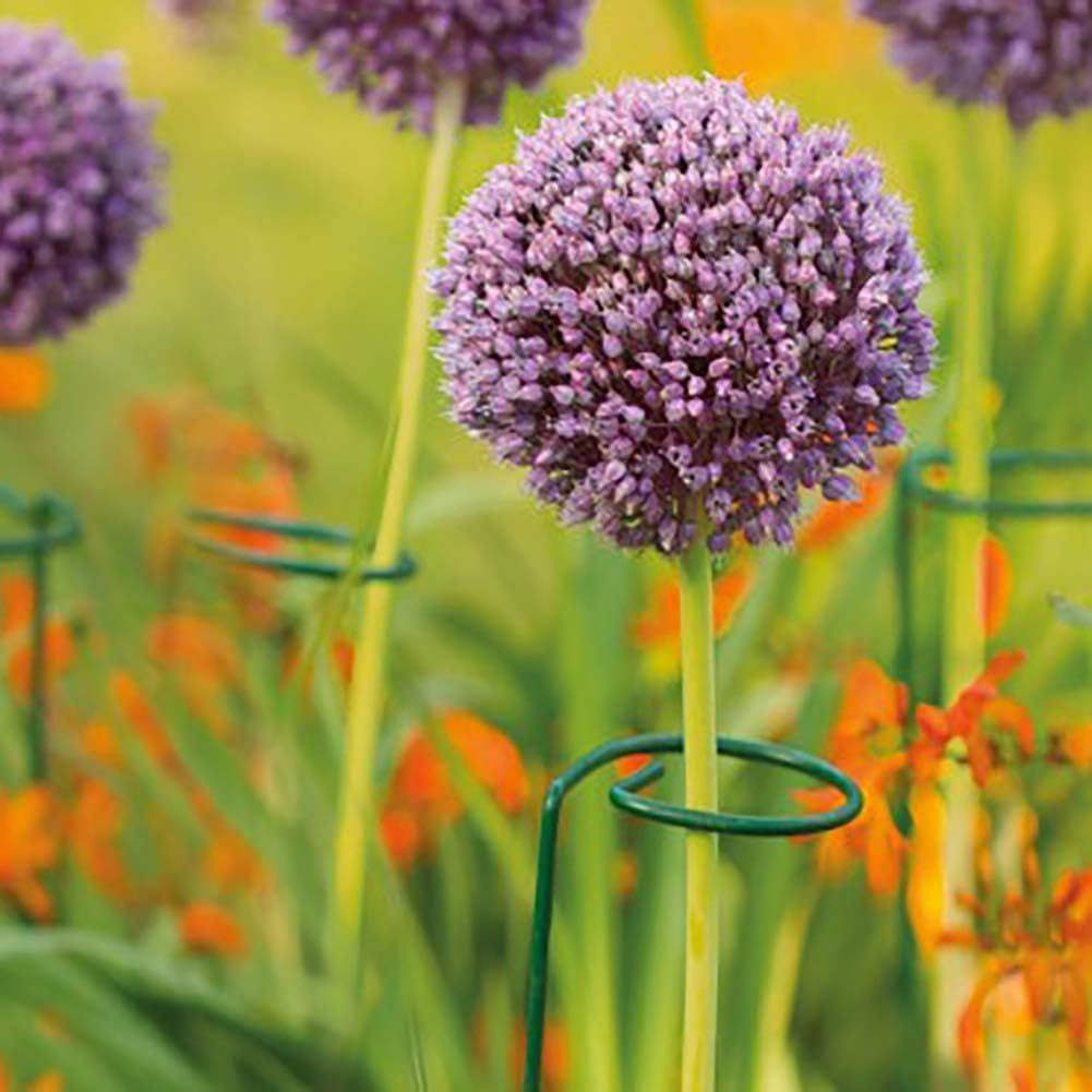 cozyou 3-Pack Garden Plant Stem Support Rings, 17.8" High