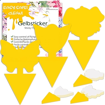 布鲁文室内果蝇诱捕器，双面粘虫捕捉器