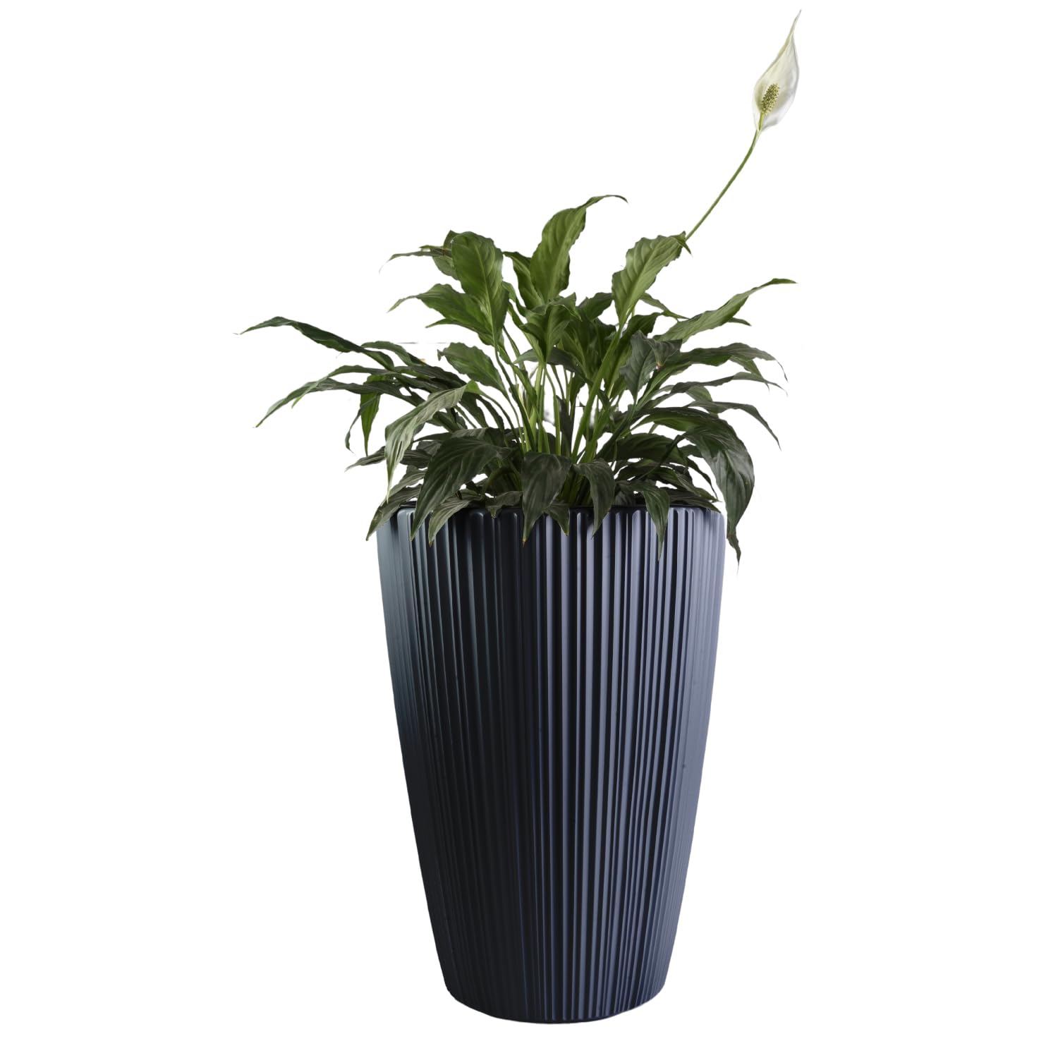 B2C Flowerpot Ridged Planter with removable insert Indoor Outdoor Modern Vertical grooves textured for home office patio garden decoration (Dark Grey, W30cm x H40cm)