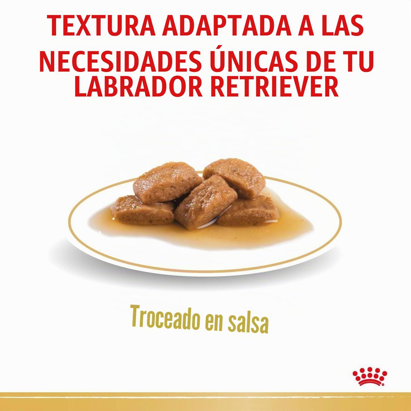 Royal Canine Labrador Adult Caja 10X140GR