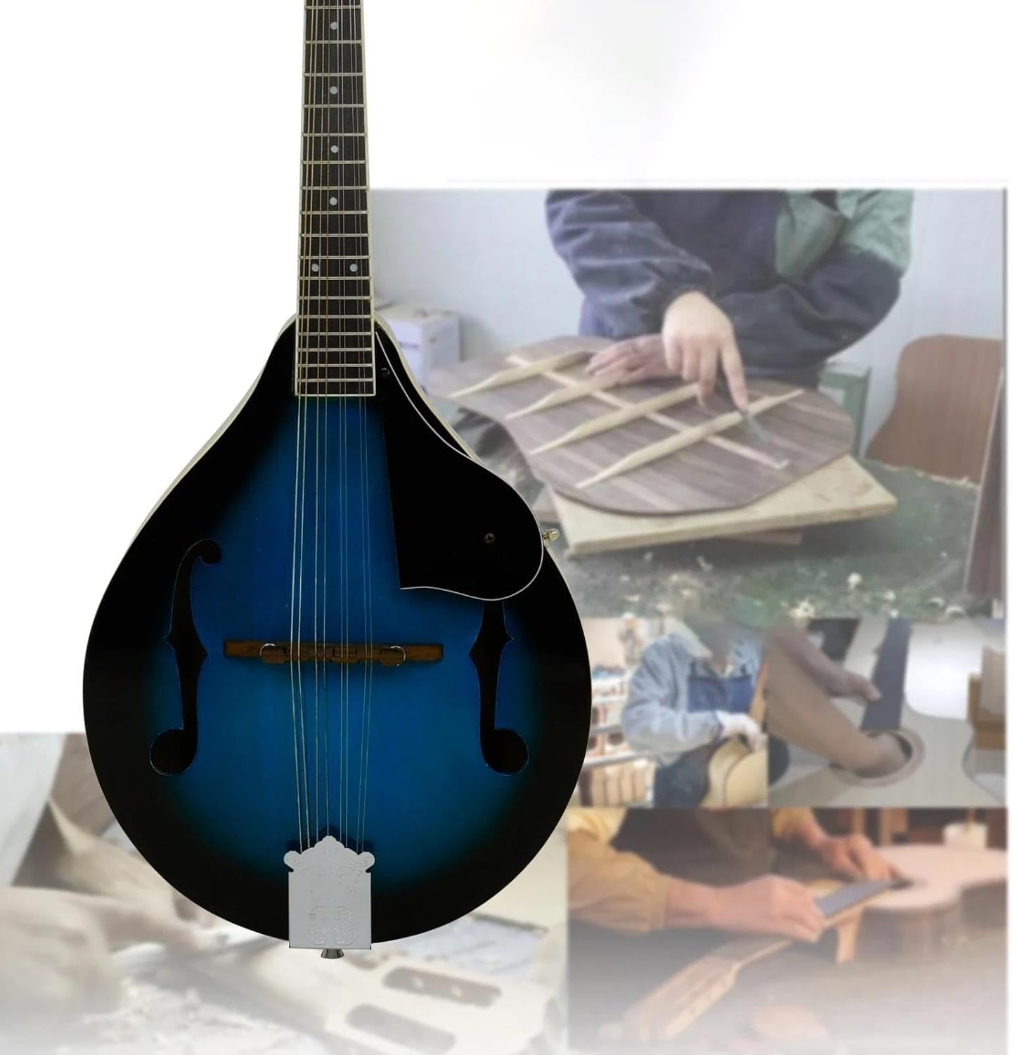 初心者用エレクトリックマンドリンフルセットエレクトリック8弦プロ