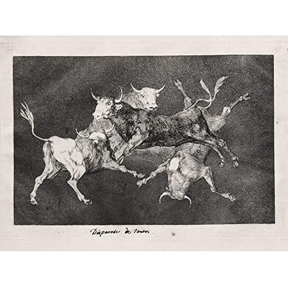 Goya Y Lucientes Francisco De Fools Folly Art Print Canvas Premium Wall Decor Poster Mural
