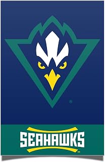 Desert Cactus University of North Carolina Wilmington Poster UNCW Seahawks 24 x 36 inch Room Office Décor Decoration Official Fan Gear (24x36 Inch)