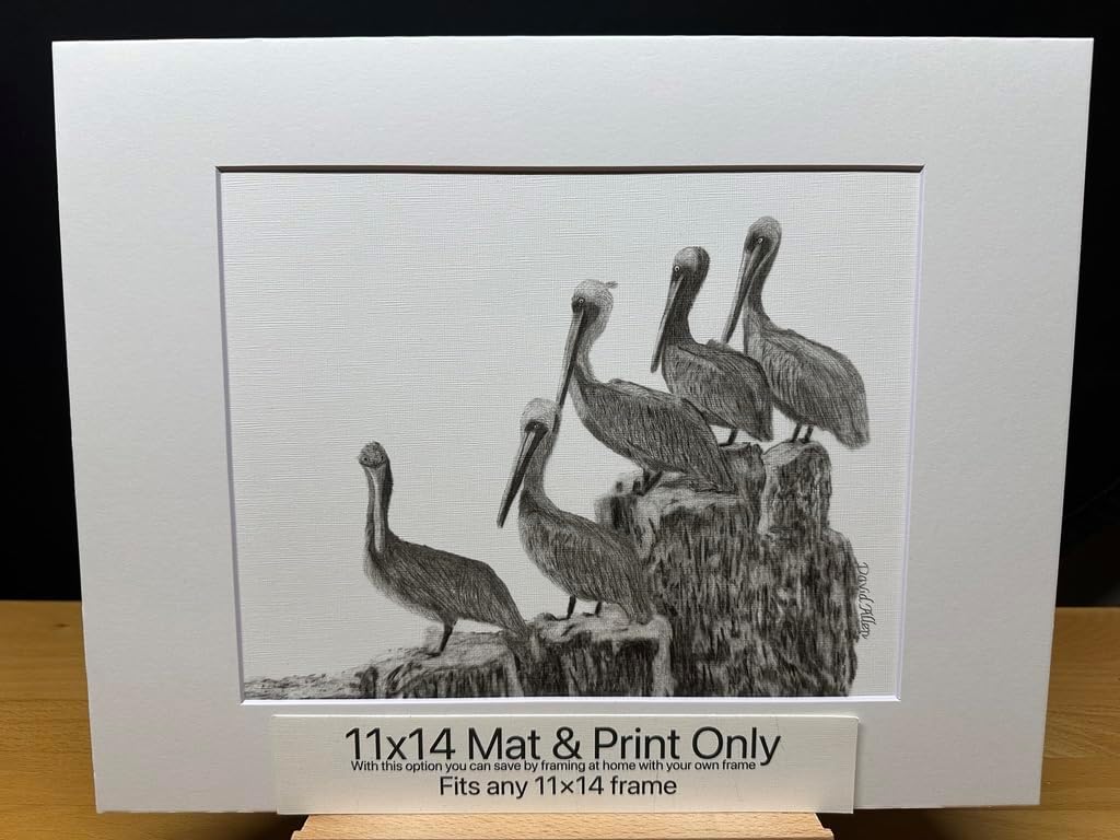 Hand Drawn Pelican Birds Graphite Pencil Art Sketch Drawing Print Picture Limited Edition ~ Titled 'Rhythm Of The Tide' by David Allen (11x14 Mat & Print Only)