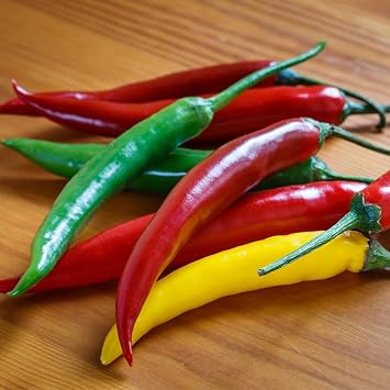 Pepper Hot Devil s Brew Seeds   Tasty, Fiery Hot Peppers, Ideal for a Greenhouse   for Your Beautiful Kitchen Garden