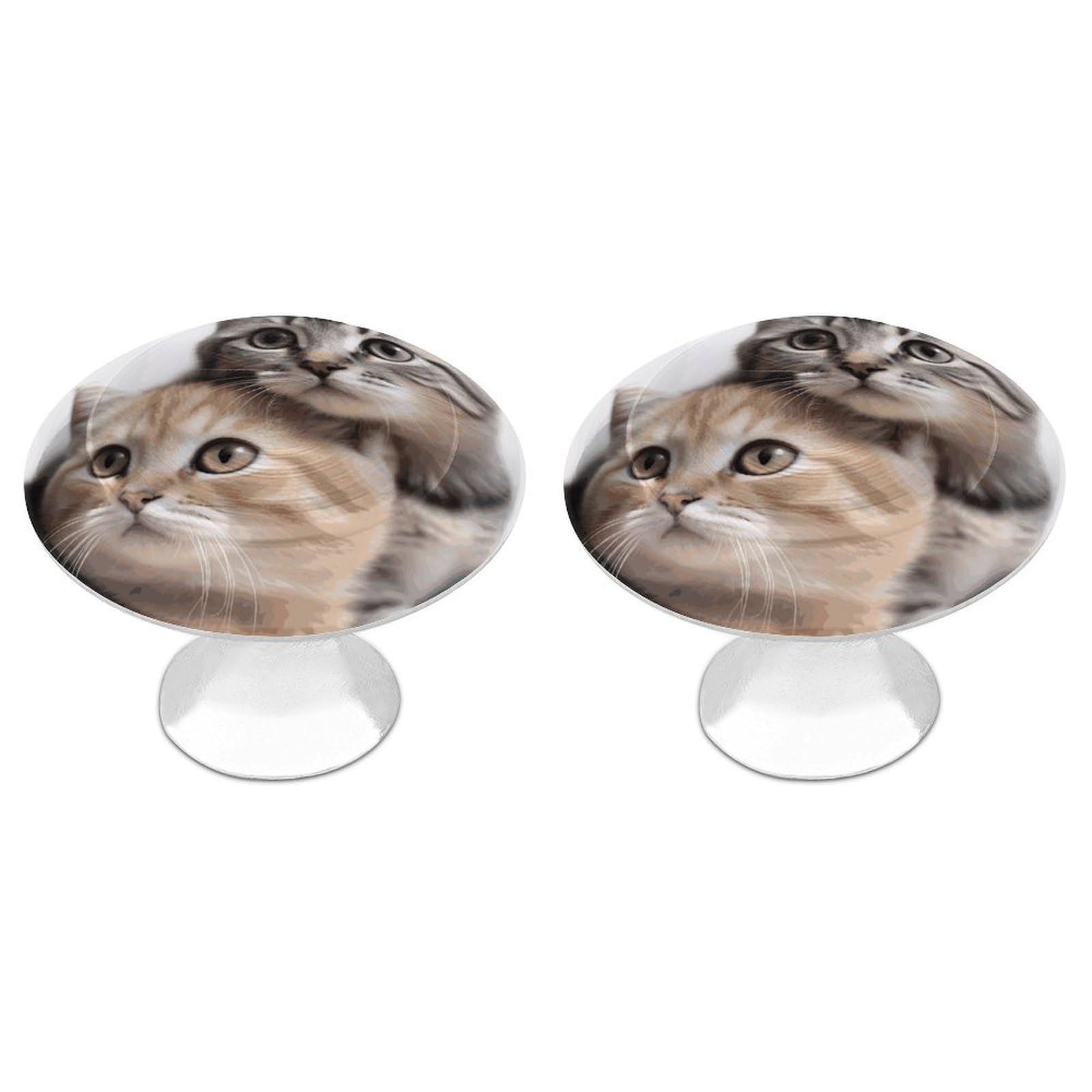 DWVTSLH Cats Cabinet Handles 2 Pack Stainless Steel Kitchen Drawer Pulls with Installation Screws Round Dresser Drawer Knobs 1.1 Inch Modern Cabinet Hardware Door Handles