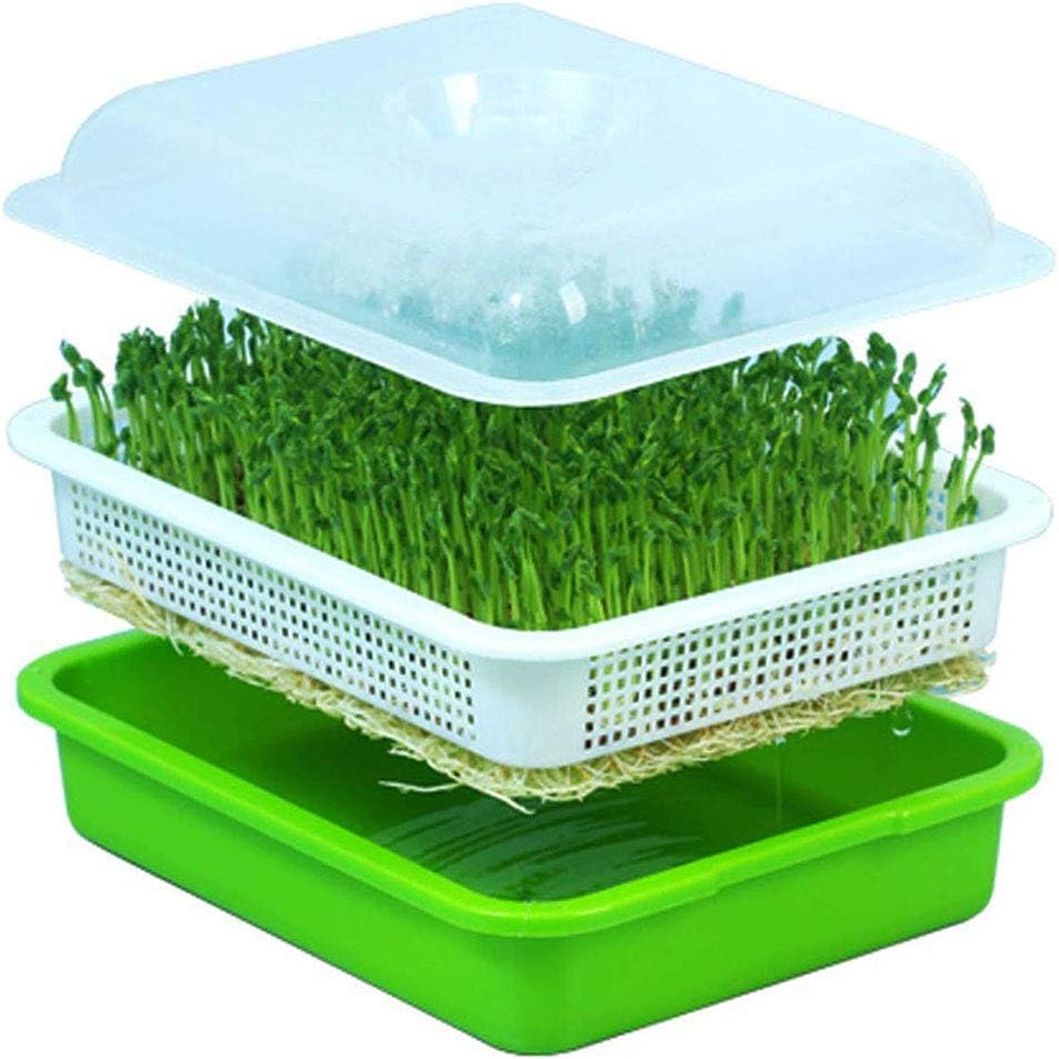 BGSFF Bandeja multifunción de Doble Capa para germinación de Semillas con Orificios en la Tapa, Rejilla, Juego de bandejas para germinación de Semillas, Kit de brotación con Tapa para ja