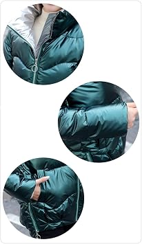 Women's Puffer Jacket Plain Winter Jacket Warm Stand Collar Transition Jacket Shiny Down Jacket Short Cut Padded Quilted Jacket