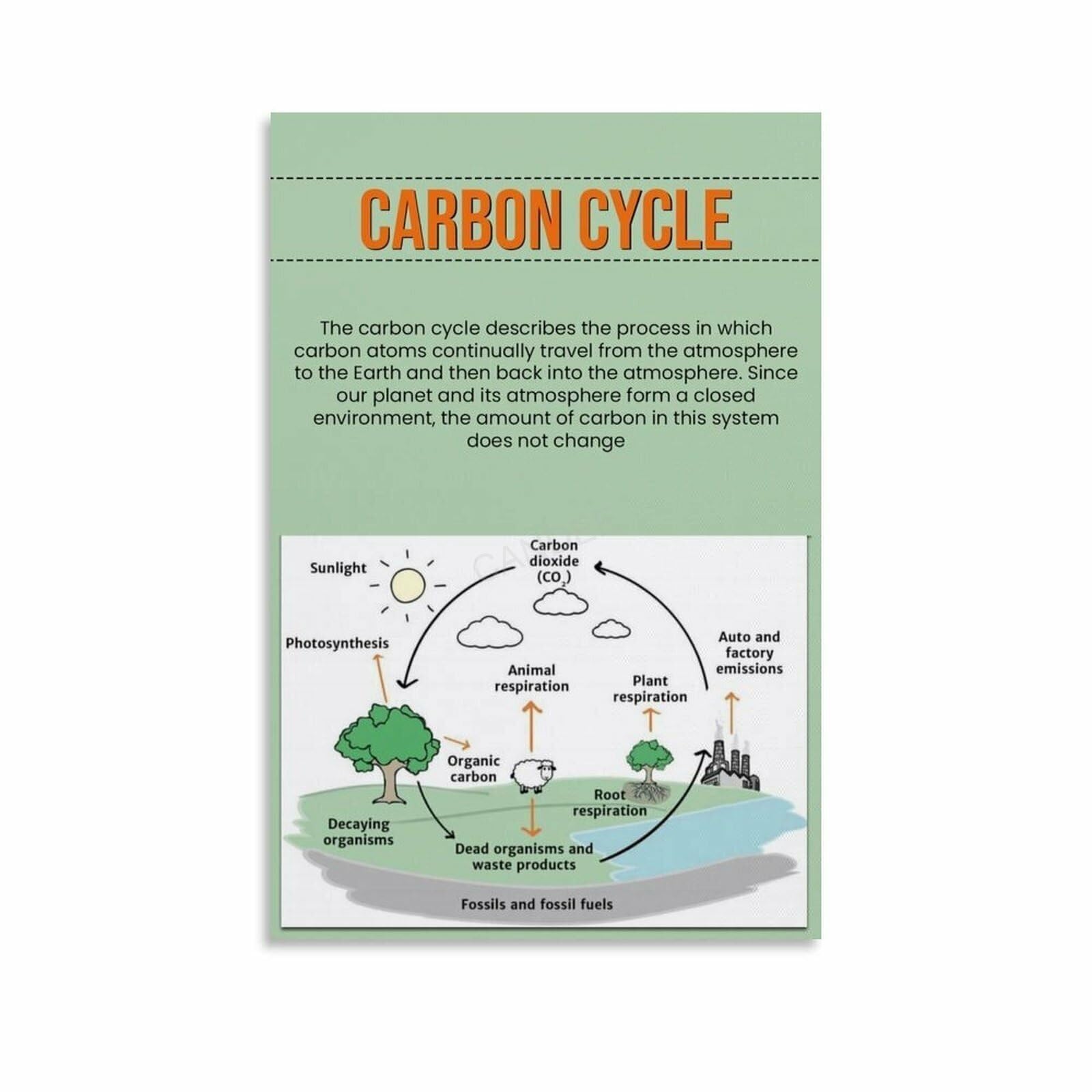 LLBOGRGGN Earth Systems Poster - The Carbon Cycle Chart, Climate & Ecology Wall Decor for Classroom, Student Gift, Eco Conscious Home Decor​(Unframed,12x18inch(30x45cm))